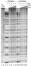 FIG. 4.