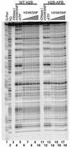 FIG. 2.