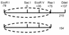 FIG. 1.