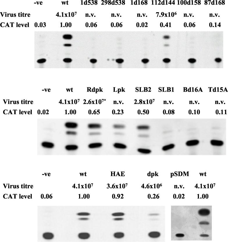 FIG. 2.