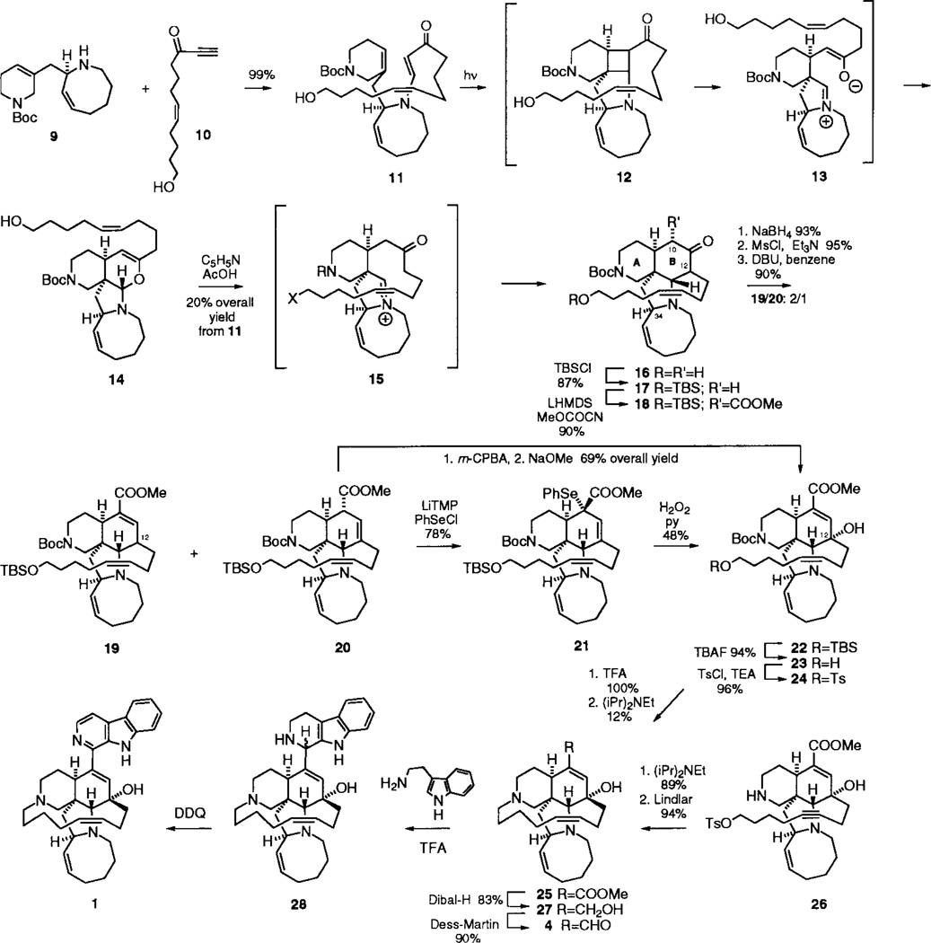 Scheme 2