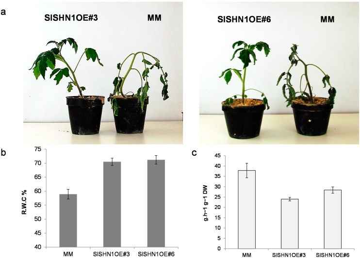 Figure 6