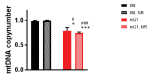 Figure 4—figure supplement 2.