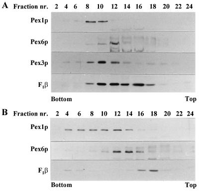 FIG. 8