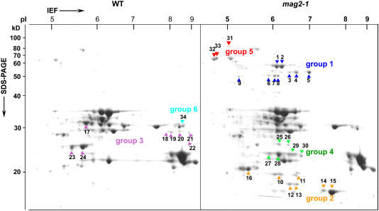 Figure 4.