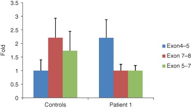 Fig. 2