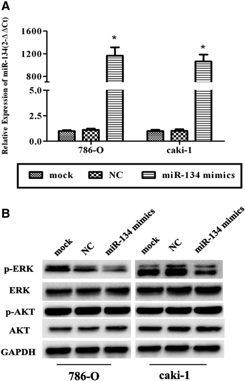 FIG. 5.