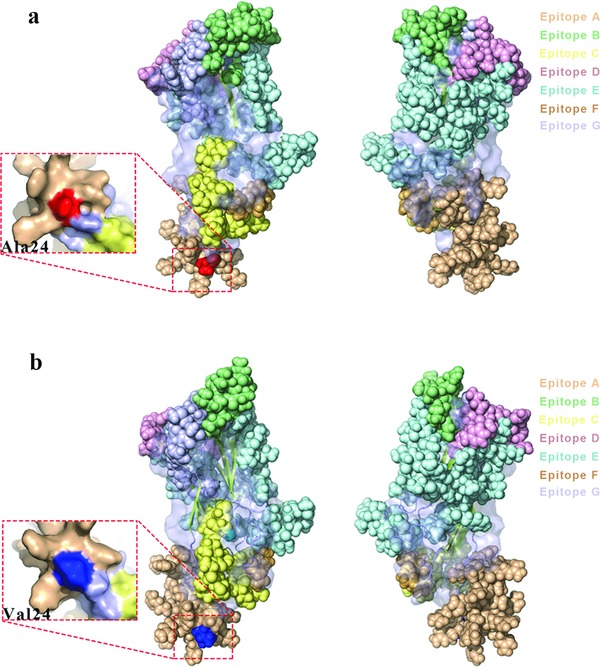 Figure 5