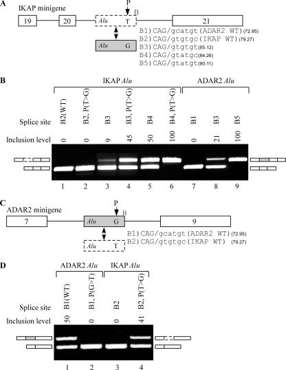 FIG. 6.