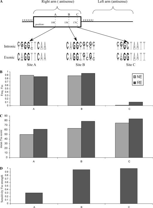 FIG. 2.