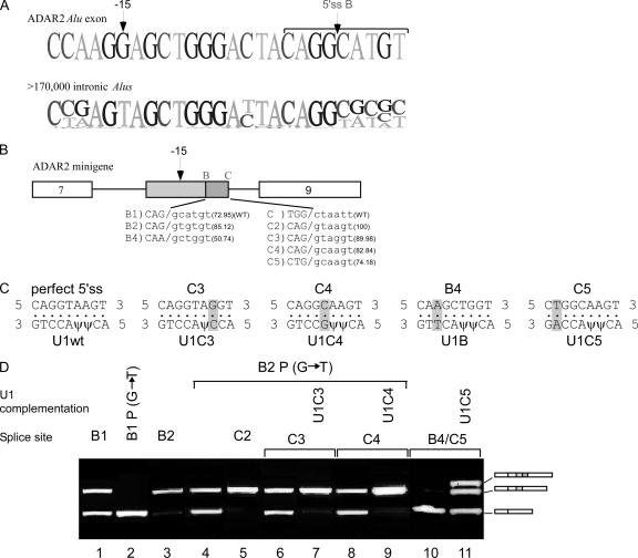 FIG. 4.