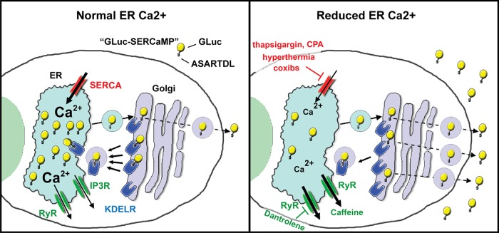 FIGURE 7: