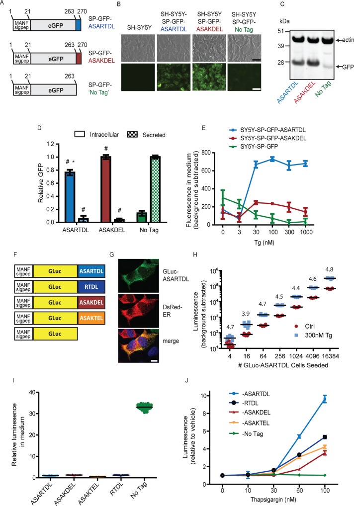 FIGURE 1: