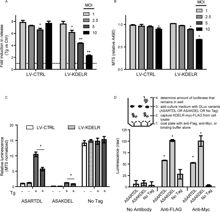 FIGURE 4: