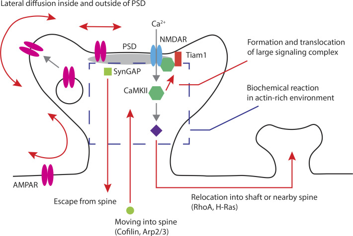 Figure 2.