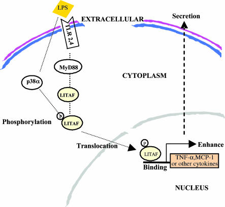 Fig. 7.