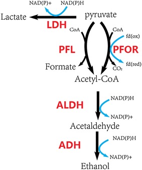 Fig. 1
