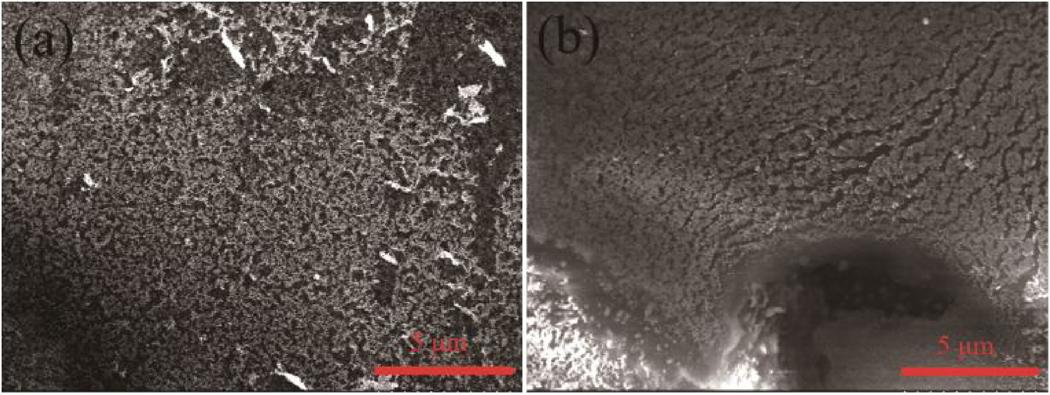 Fig.10