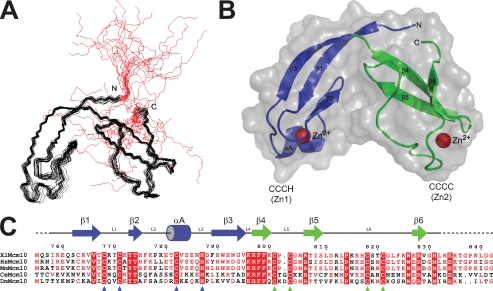 FIGURE 2.