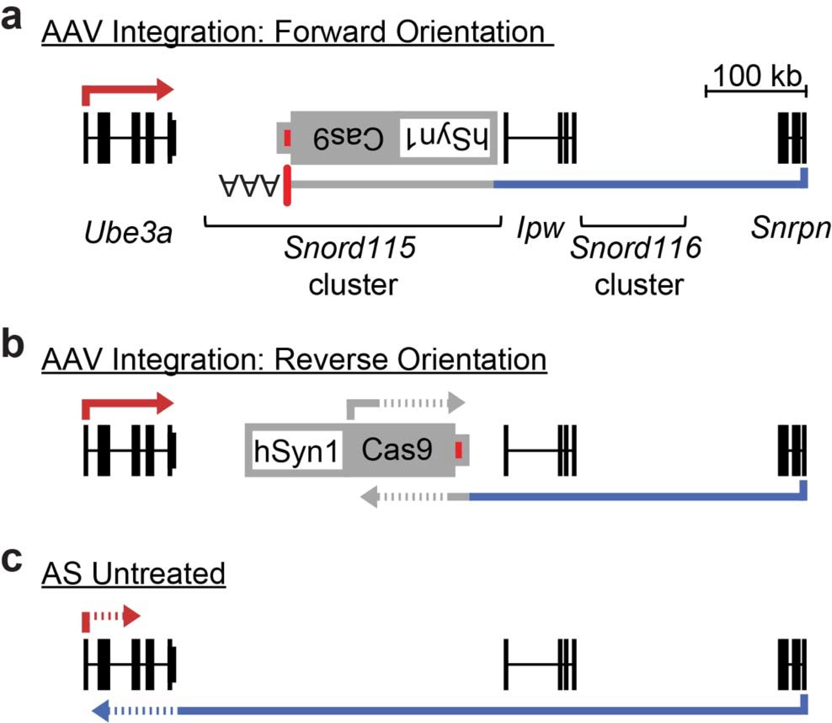 Extended Data Figure 10.