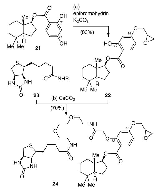 Scheme 3