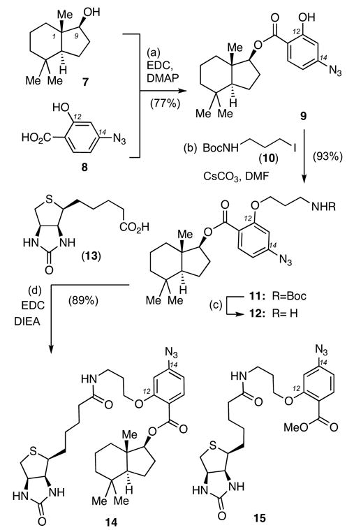 Scheme 1