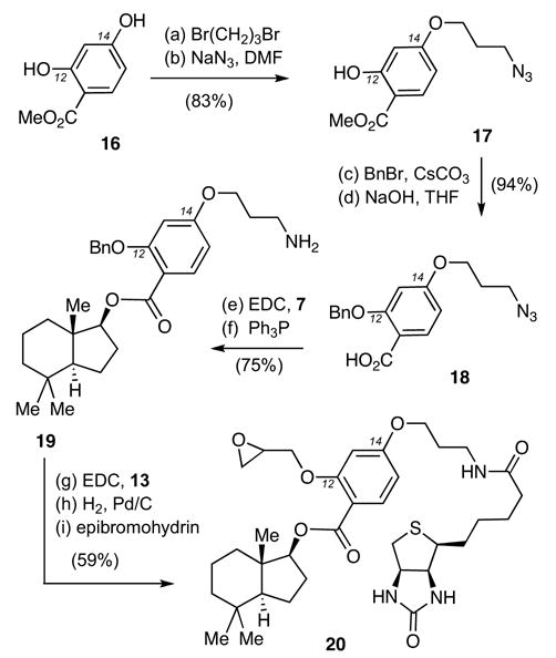 Scheme 2