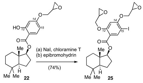 Scheme 4