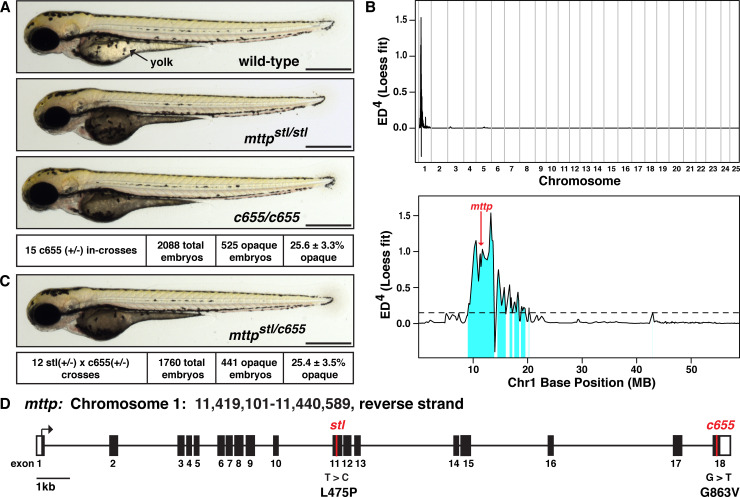 Fig 1