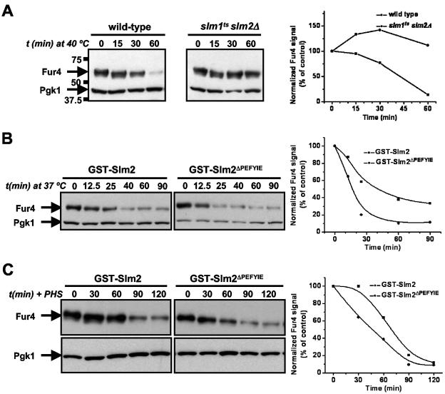 FIG. 9.