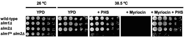 FIG. 8.