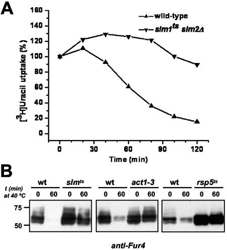 FIG. 10.