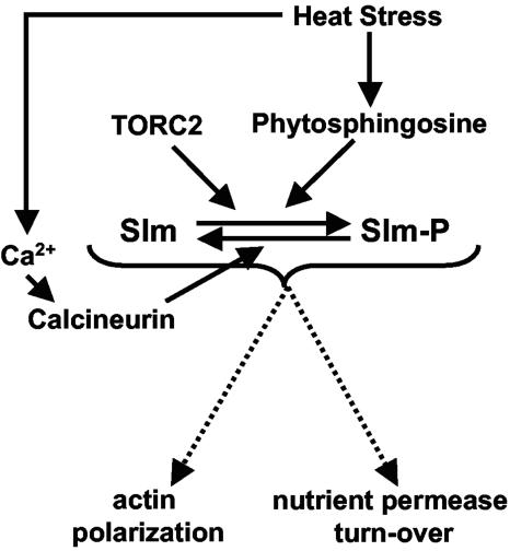 FIG. 11.