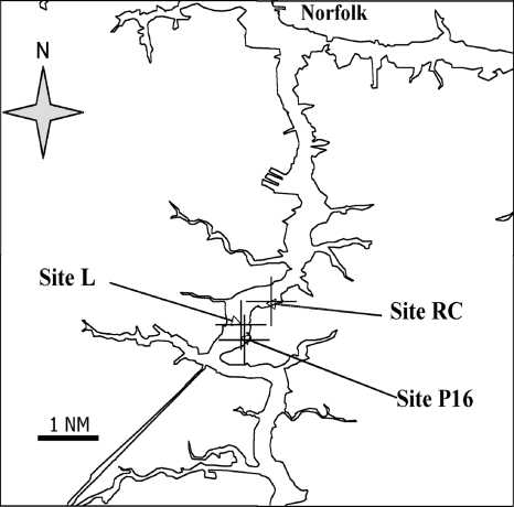 FIG. 1.