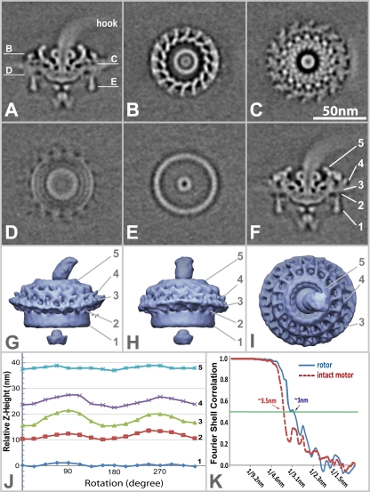 FIG. 3.