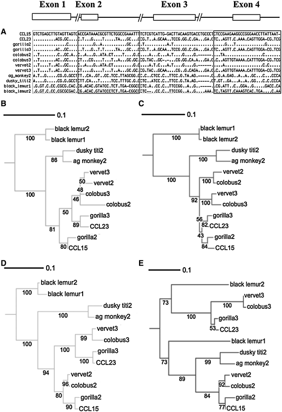 FIG. 10.