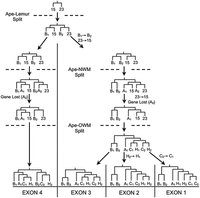 FIG. 12.