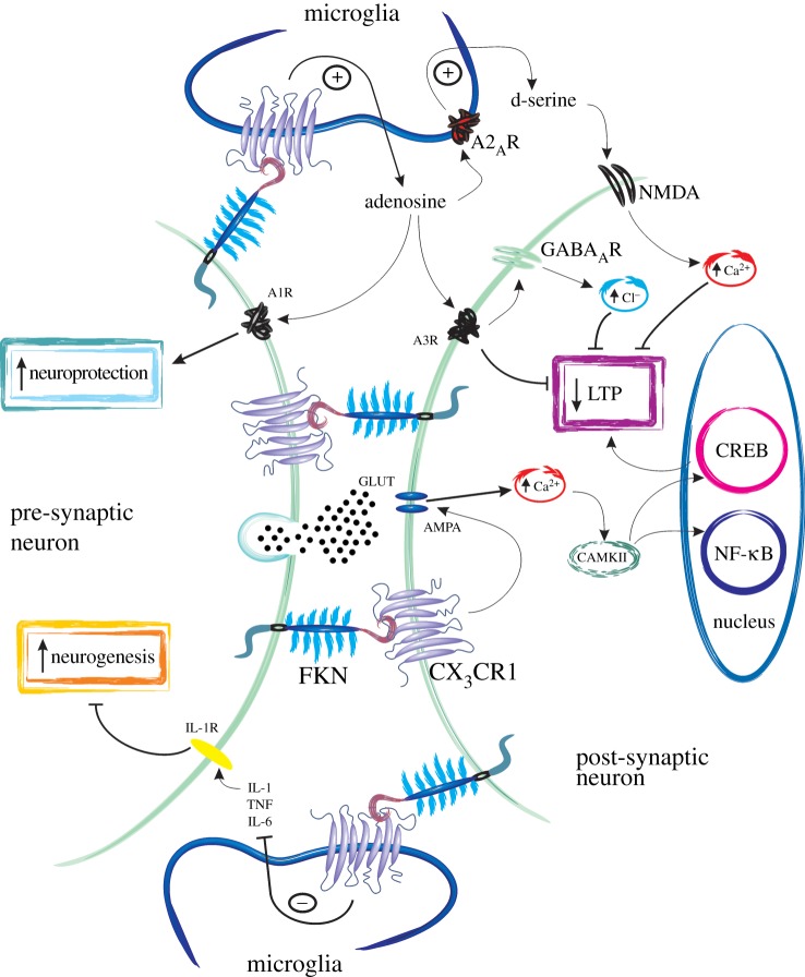 Figure 2.