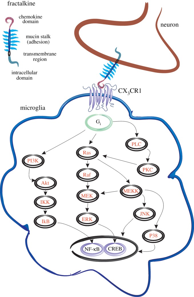 Figure 1.