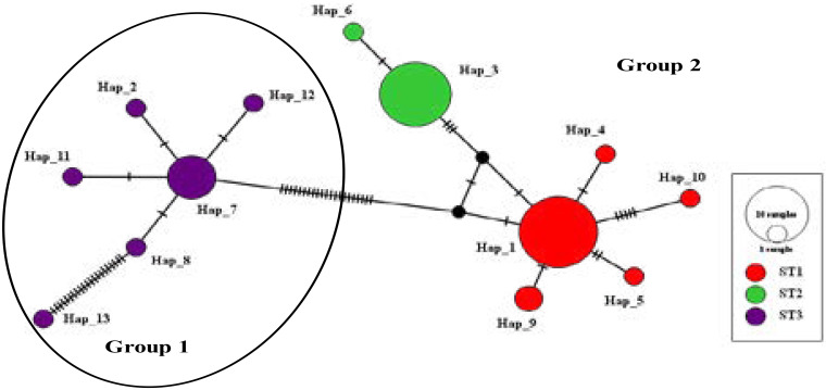 Fig. 3