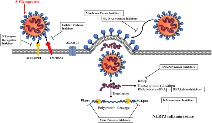 FIGURE 3