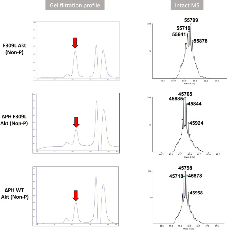 Figure 6—figure supplement 4.