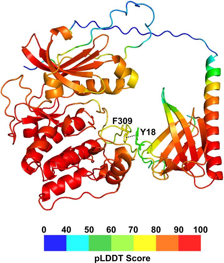 Figure 6—figure supplement 1.