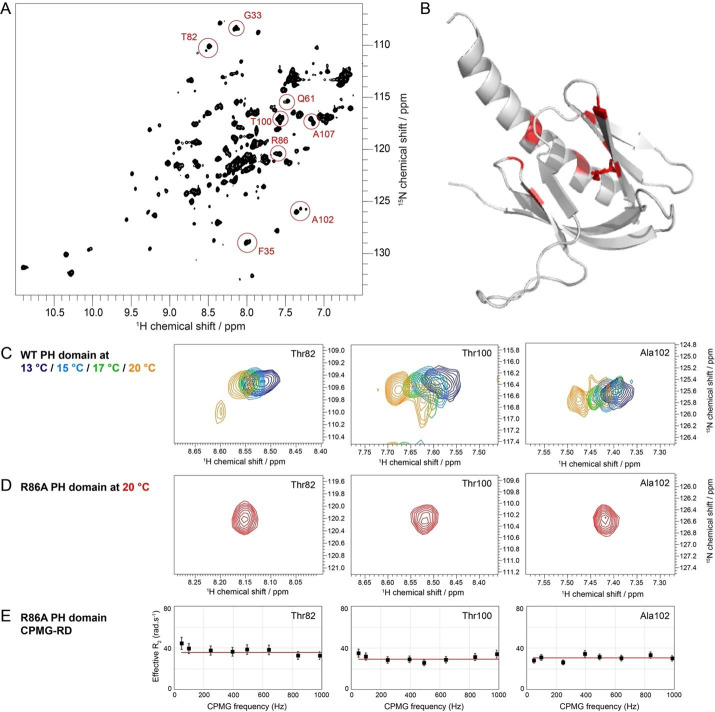 Figure 3—figure supplement 3.