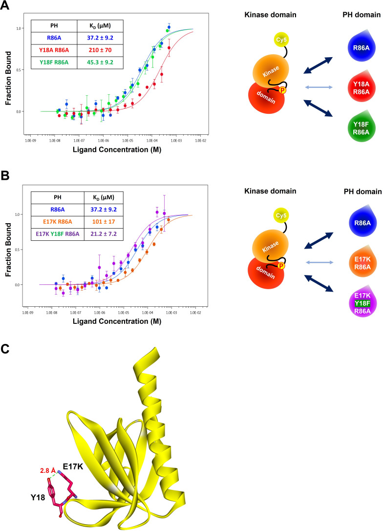 Figure 4—figure supplement 1.