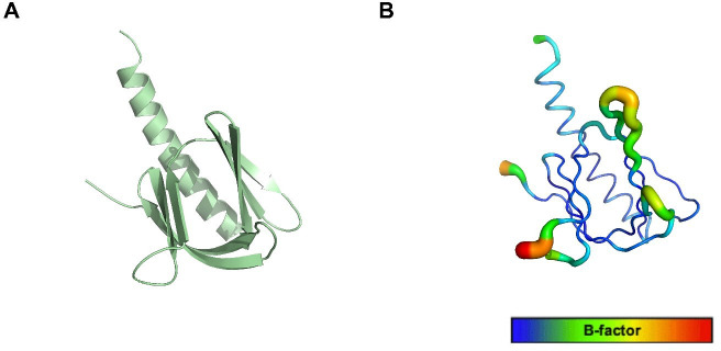 Figure 3—figure supplement 2.