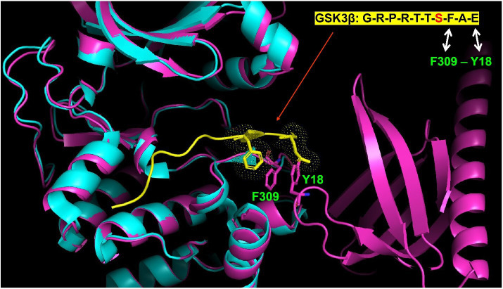 Figure 6—figure supplement 2.