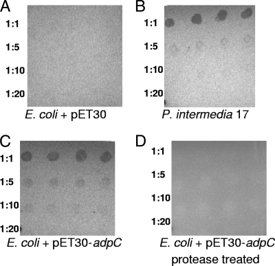 FIG. 6.