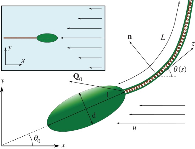 Figure 1.