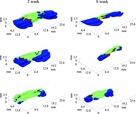 FIG. 7.